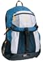 Coleman Exponent Gunnison Daypack