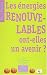 Les �nergies renouvelables ont-elles un avenir ?