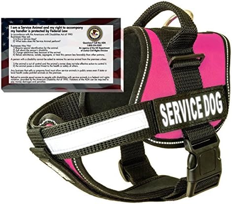 Real Service Dog Vest Harness + 50 ADA Info Cards Kit (Pink, (26" - 34") Girth