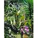 Botanical Orchids