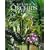 Botanical Orchids