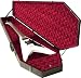 Coffin Case 300VX Monster Wood Coffin Guitar Case for Extreme Guitars, Black Exterior with Red Interior