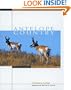Antelope Country: Pronghorns: The Last Americans