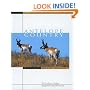 Antelope Country: Pronghorns: The Last Americans