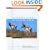 Antelope Country: Pronghorns: The Last Americans