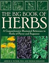 Big Book of Herbs