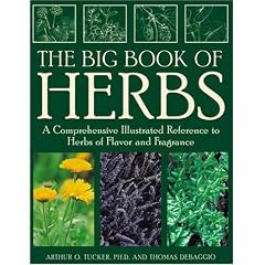 The Big Book of Herbs: A Comprehensive Illustrated Reference to Herbs of Flavor and Fragrance