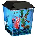 Tank Fish Aquarium