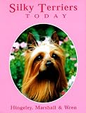 Silky Terriers Today