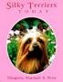 Silky Terriers Today