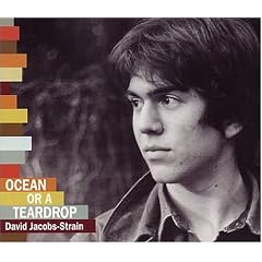 Ocean or a Teardrop