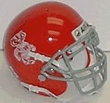 Wisconsin Badgers (1969) Mini Throwback Football Helmet from Schutt