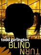 Blind Turn (novel)