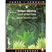 The Lord of the Flies (Penguin/Faber Audiobooks)