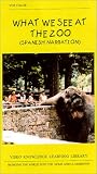 Review   / What We See At The Zoo (Spanish Narration)