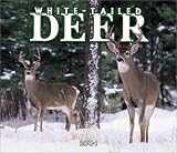 White-Tailed Deer Deluxe 2004 Calendar