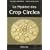 Le myst�re des Crop Circles