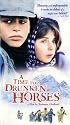 Time for Drunken Horses [VHS]