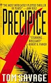 Precipice: A Novel