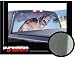 WOLF 22" x 65" - Rear Window Graphic- vinyl decal tint film truck