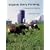 Organic Dairy Farming: A Resource for Farmers