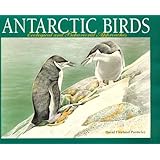 antarctic birds ecological and behavioral approaches exploration of palmer archipelago