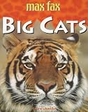 Big Cats (Max Fax)