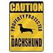 dachshund11 - CAUTION PROPERTY PROTECTED BY DACHSHUND PARKING SIGN DOG