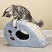 Savvy Tabby Peek-a-Boo Cave for Cats