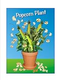 Grow Your Own Popcorn.