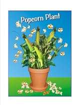 Grow Your Own Popcorn.