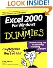 Excel 2000 For Windows For Dummies