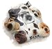 The Dog Pooches Decorative Pillow