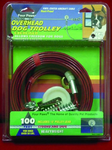 Heavy Weight Trolley Exerciser, 100-Feet - Silver
