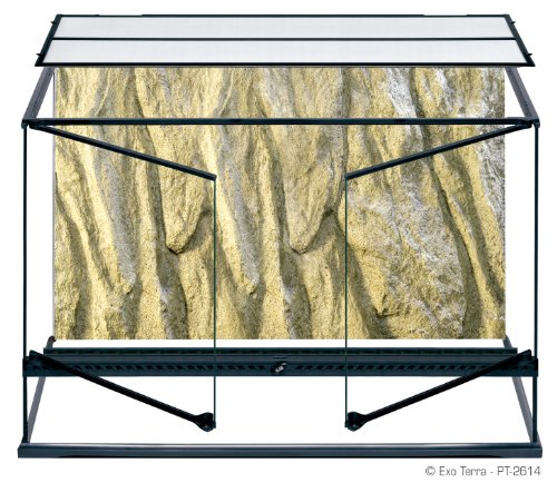 Exo Terra PT2614 Glas Terrarium 90 x 45 x 60 cm