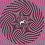Cryptograms ~ Deerhunter