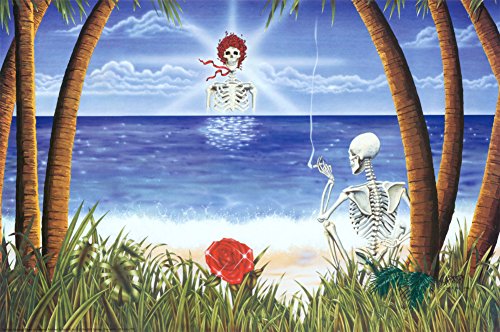 (24x36) Grateful Dead (Sunshine Day Dream) Music Poster Print