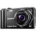 Sony DSC-HX5V Digitalkamera (10 Megapixel Exmor R, 10fach optischer Zoom, 7,6 cm, LC-Display, Full HD Video, Bildstabilisator, Sweep-Panorama, GPS) schwarz