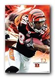 Cincinnati Bengals Houshmandzadeh Poster 2 Nfl Coa 4266