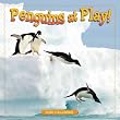 Penguins at Play 2010 Wall Calendar