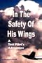 In The Safety Of His Wings: A Test Pilots Adventures