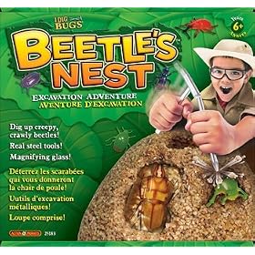 I Dig Bugs Beetle's Nest