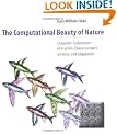 The Computational Beauty of Nature: Computer Explorations of Fractals, Chaos, Complex Systems and Adaptation (Bradford Books)