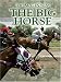 The Big Horse (Thorndike Americana)