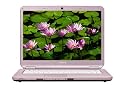 Sony VAIO NS30E/P Laptop - Intel Pentium T4200, 3 GB RAM, 250 GB HDD, DVD+-RW/+-R DL/RAM 15.4 inch WXGA Vista Home Premium (Pink)