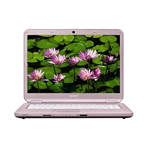 Sony VAIO NS30E/P Laptop - Intel Pentium T4200, 3 GB RAM, 250 GB HDD, DVD+-RW/+-R DL/RAM 15.4 inch WXGA Vista Home Premium (Pink)