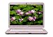 Sony VAIO NS30E/P Laptop - Intel Pentium T4200, 3 GB RAM, 250 GB HDD, DVD+-RW/+-R DL/RAM 15.4 inch WXGA Vista Home Premium (Pink)