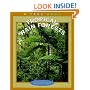 Tropical Rain Forests (True Books-Ecosystems)
