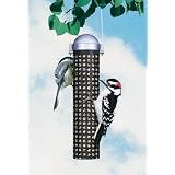 Perky Pet Sunflower Seed and Peanut Feeder