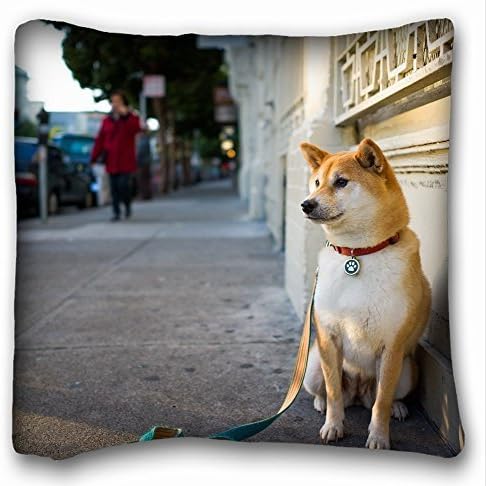 Custom Animals Dog City - Street Sit 18"*18" Two Side Pillow Case